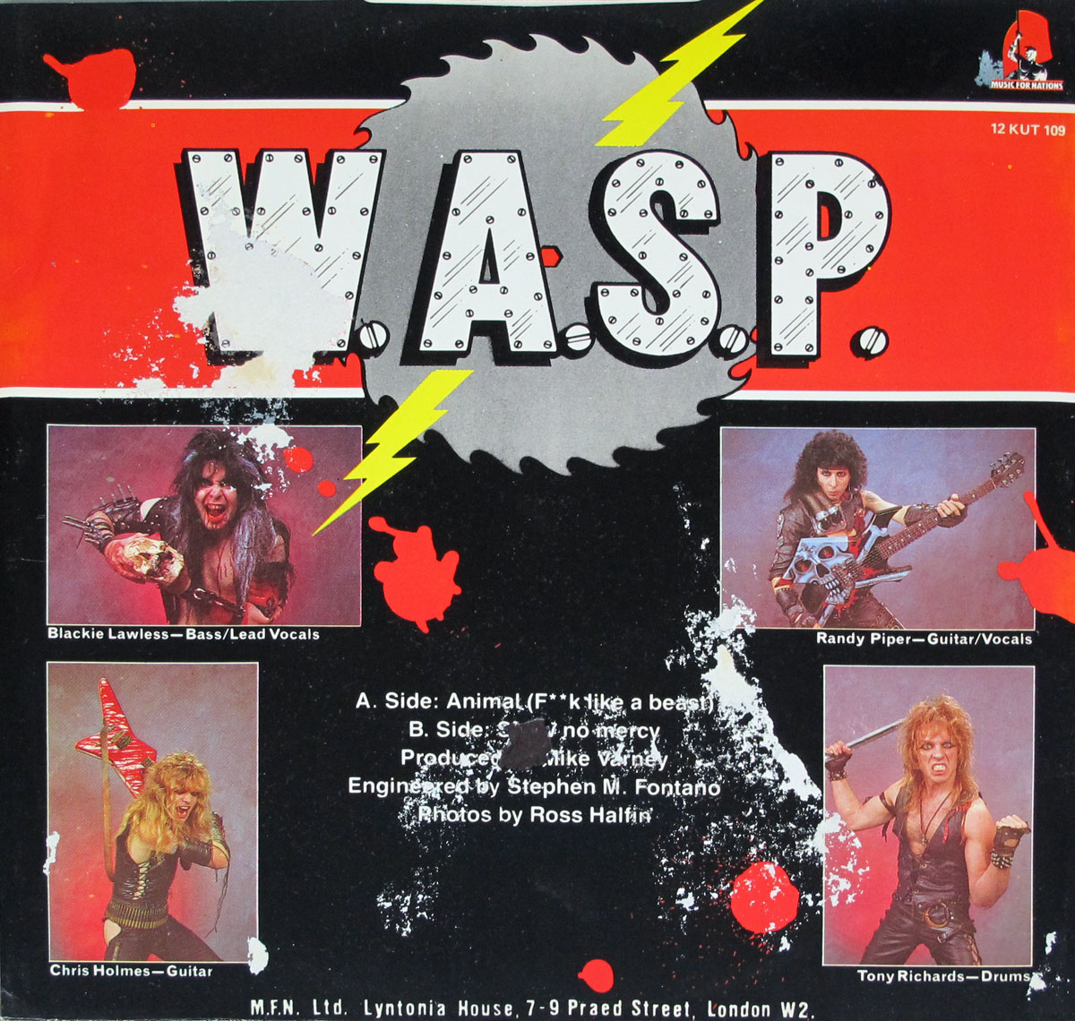 High Resolution Photos of wasp animal like beast 